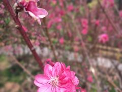 -白水带风景区体育公园