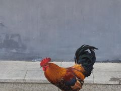 -三里河公园