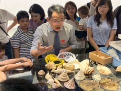 -青岛贝壳博物馆
