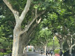 -星巴克(上海交通大学店)