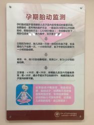 -复旦大学附属妇产科医院(杨浦院区)