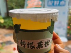 -先机泉水鸡汤(南山老君洞店)