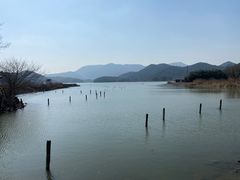 -鸣鹤古镇