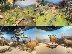 -陕西自然博物馆