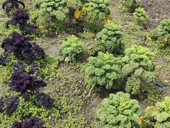 -中国天府农业博览园