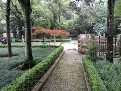 -灵岩山风景区