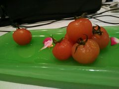 -蔓兰家的四季S0餐厅·融合菜(当代MOMA店)