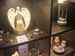-雪灵魔法世界SHELLY’S TAROT(大良桂畔里店)