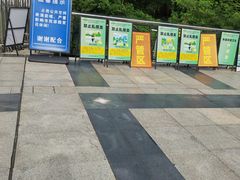 -莲花山公园