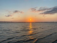 -宝安西湾红树林湿地公园