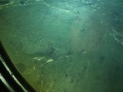 -白鹤梁水下博物馆