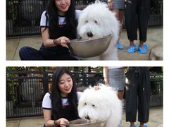 -TrueLove @ Neverland (Husky Cafe)