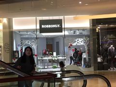 -ROSEONLY诺誓(广州K11店)