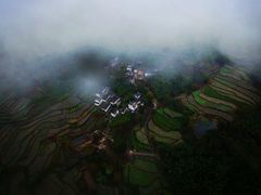 -塔川景区