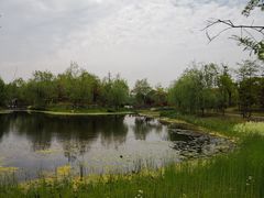 -上海长兴岛郊野公园