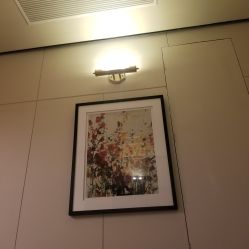 -娇莉芙美颜SPA连锁