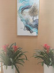 -雅曼妮spa美容养生