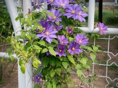 -国家植物园南园