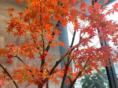 -唐宫足道·SPA·住宿24H会所(木渎店)
