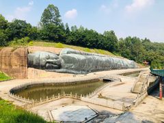 -三水森林公园