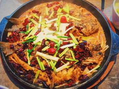 -老板恋上鱼(恒隆广场店)