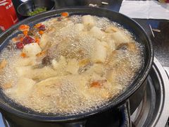 -蘑统田下·野生菌火锅