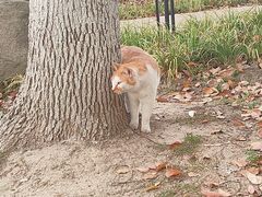 -华东政法大学(松江校区)