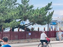 -老虎石海上公园