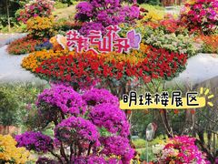 -广州市白云山风景名胜区