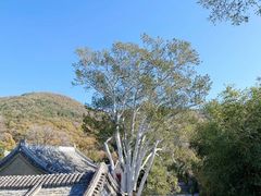 -潭柘寺景区