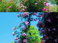 -西太湖揽月湾