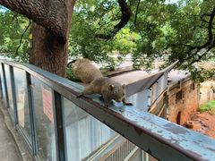 -昆明动物园