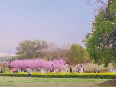 -同济大学(嘉定校区)