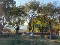 -无锡动物园·太湖欢乐园