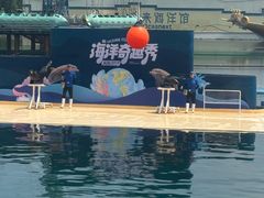 -秦皇岛乐岛海洋王国