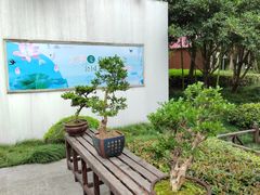 -陈家山荷花公园