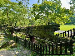 -唐崖土司城遗址