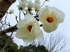 -白塘生态植物园