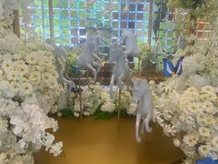 -北京康莱德酒店