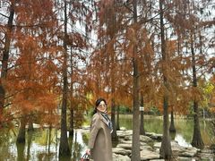 -上海长兴岛郊野公园