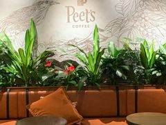 -Peet's 皮爷咖啡(东湖路手作店)