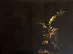 -泰之源足浴会所(玉环店)