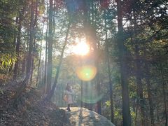 -四明山国家森林公园