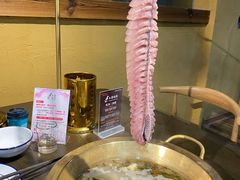 -土著渔匠·养生蝴蝶鱼(香樟路店)