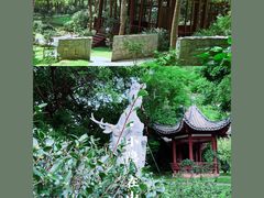 -深圳国际园林花卉博览园