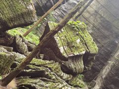 -梭布垭石林景区