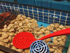 -海汕记·潮汕鲜牛肉火锅·自助