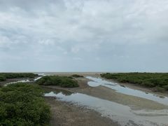 -北海金海湾红树林生态旅游区