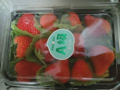 -百果园PAGODA(和泓四季店)