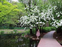 -上海共青森林公园